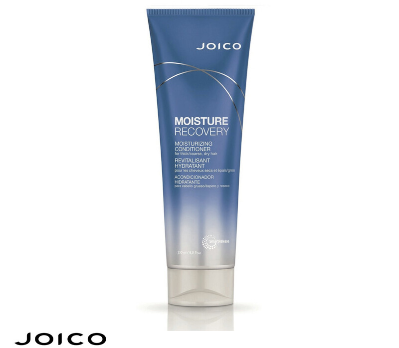 Joico Moisture Recovery Conditioner 250ml
