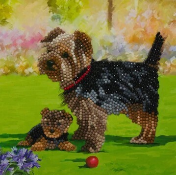 "Yorkshire Terrier Dogs" Crystal Art Card Kit