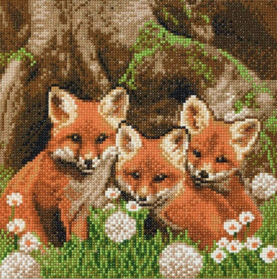 "Fox Cubs" 30x30cm Crystal Art Kit