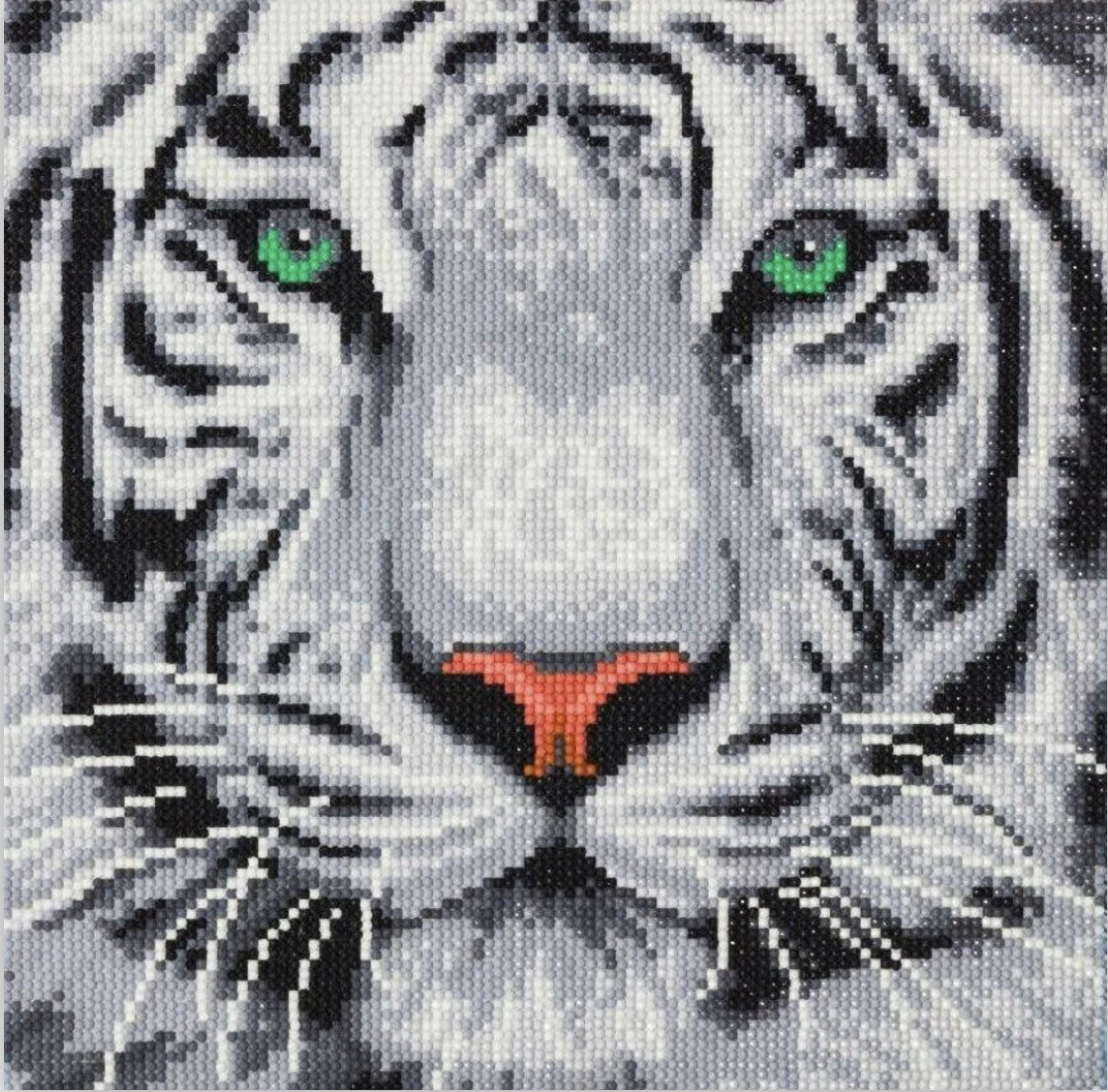 "White Tiger" 30x30cm (Medium)