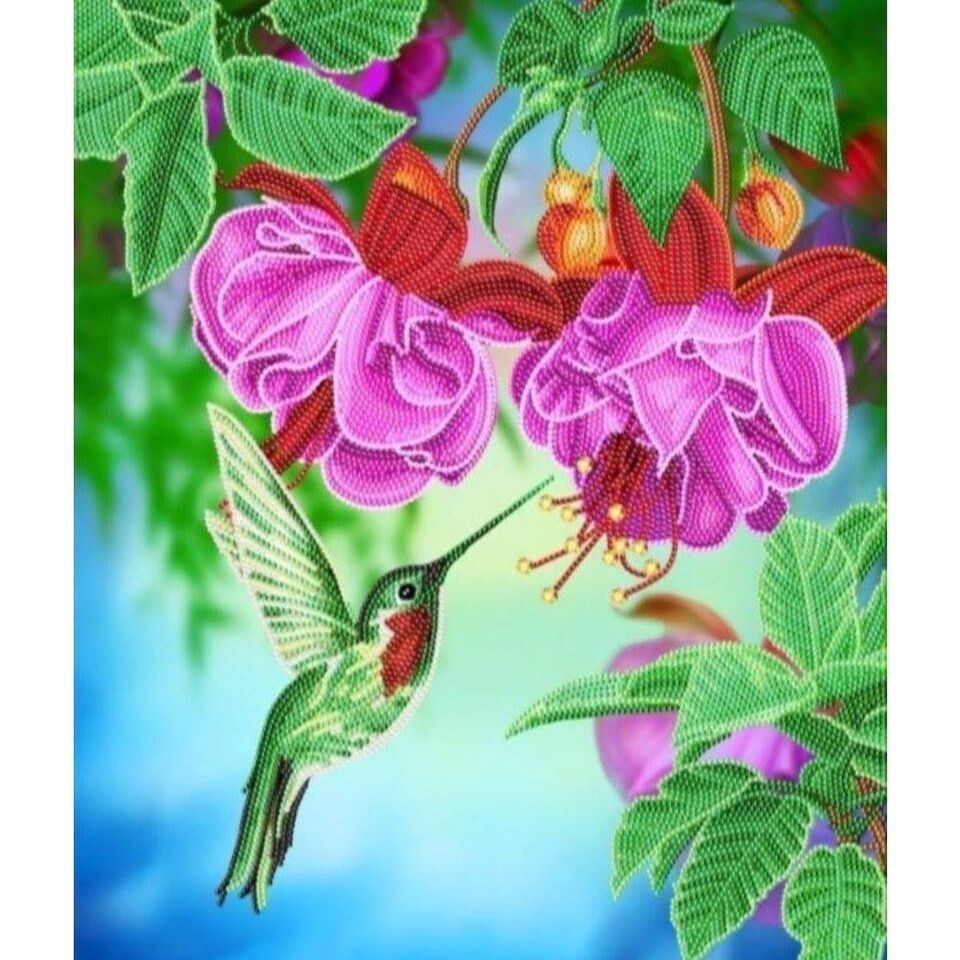 Hummingbird Canvas 40x50cm Crystal Art Kit