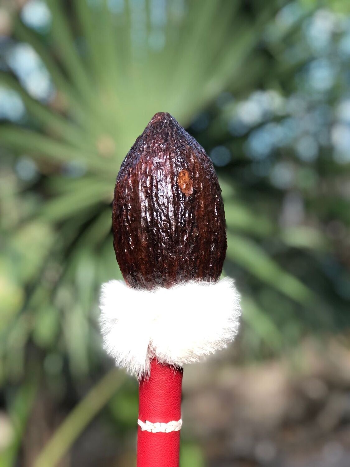 Maraca Cacao