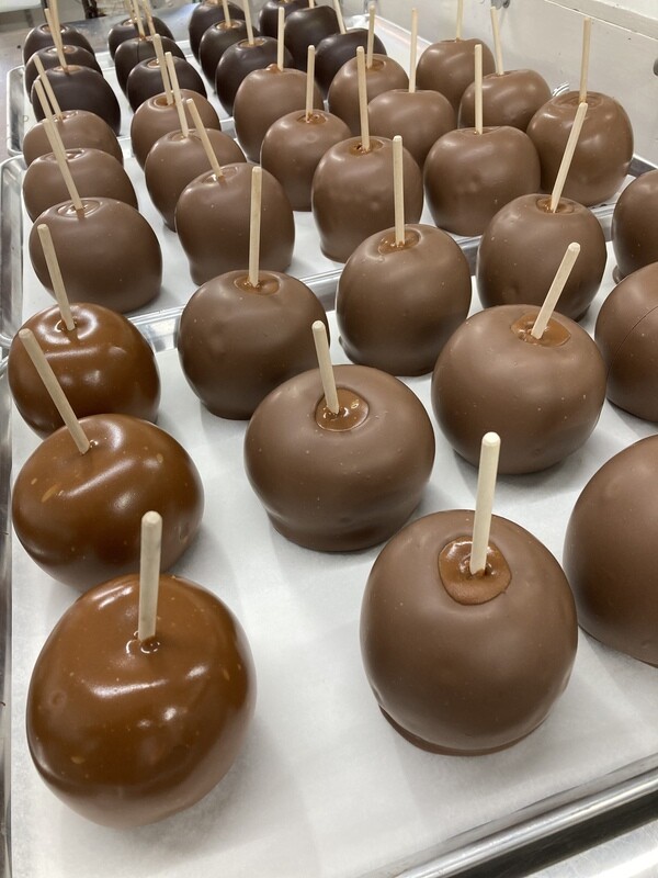 Chocolate Covered Caramel Apple 24oz