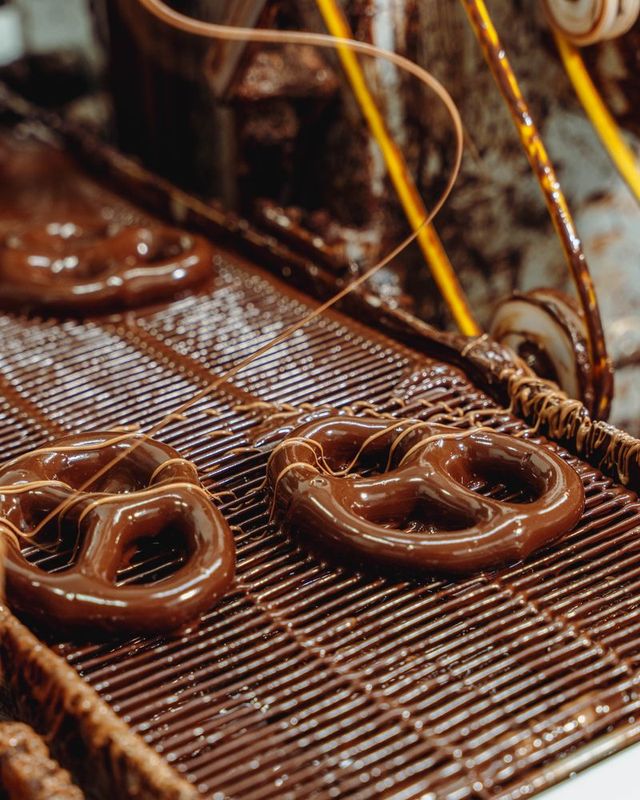 Gourmet Pretzels DK 4oz