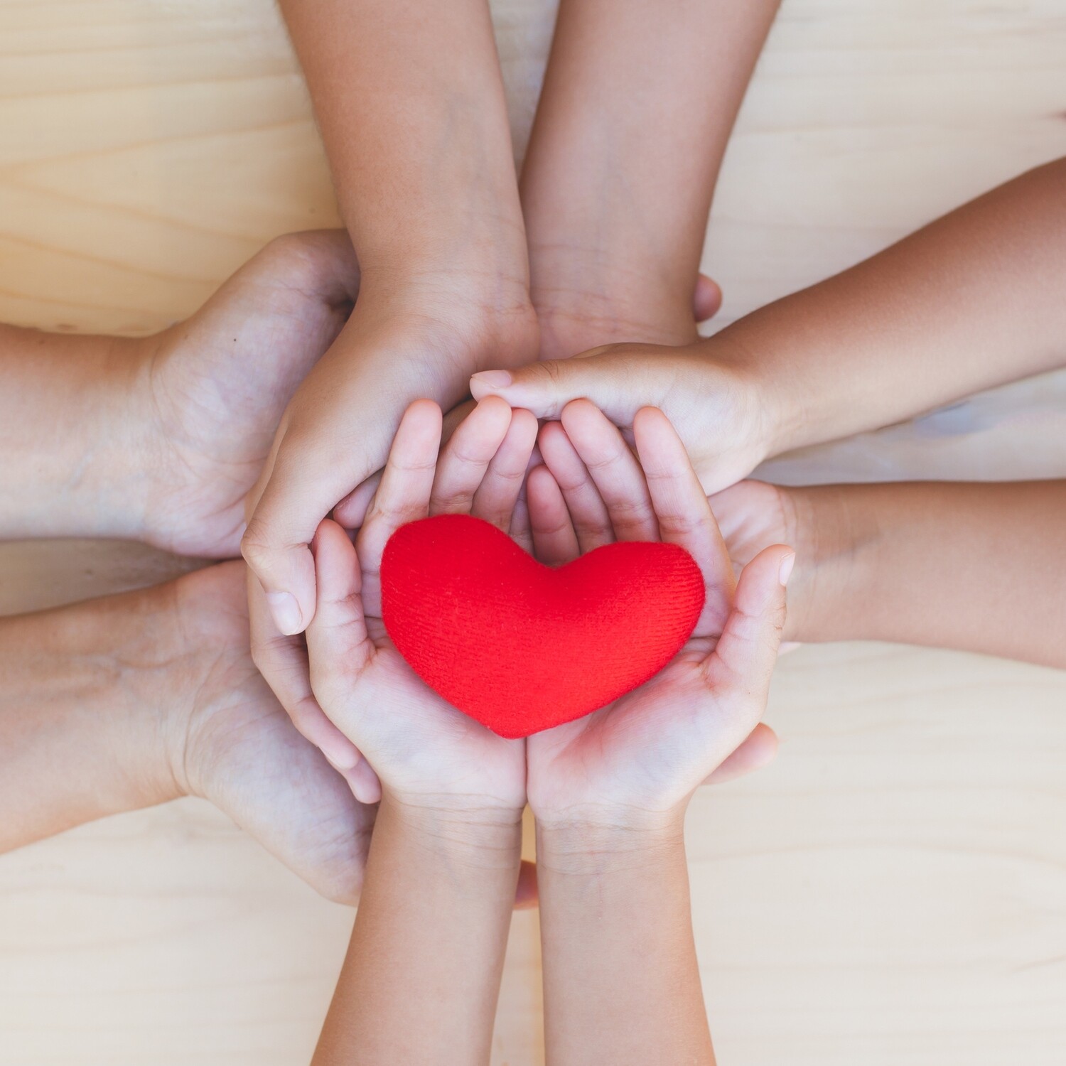 Love Gift/Donation (Click Here)