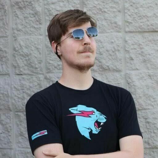 Mr beast worlwide offer