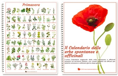 Calendario delle erbe officinali e spontanee