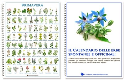 Calendario delle erbe officinali e spontanee