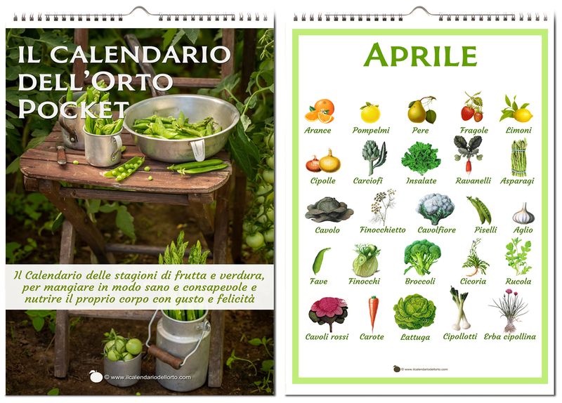 Calendario POCKET