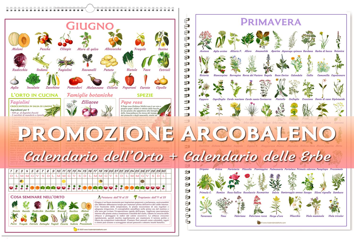 Promozione Arcobaleno