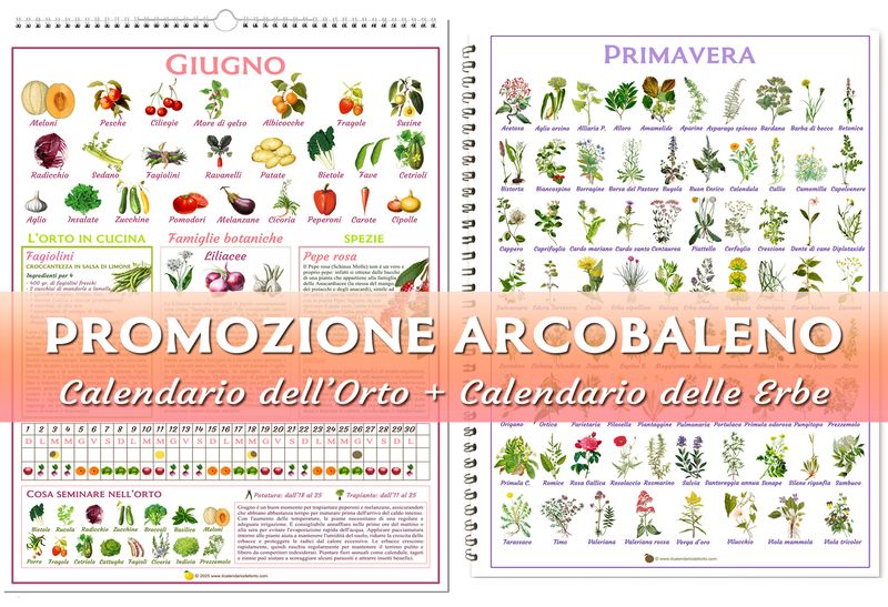 Promozione Arcobaleno