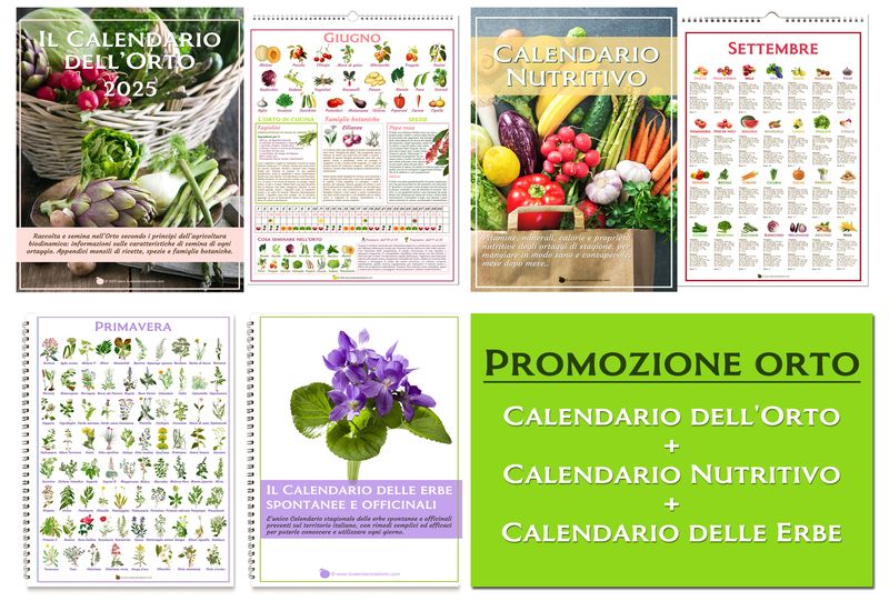 Promozione orto
