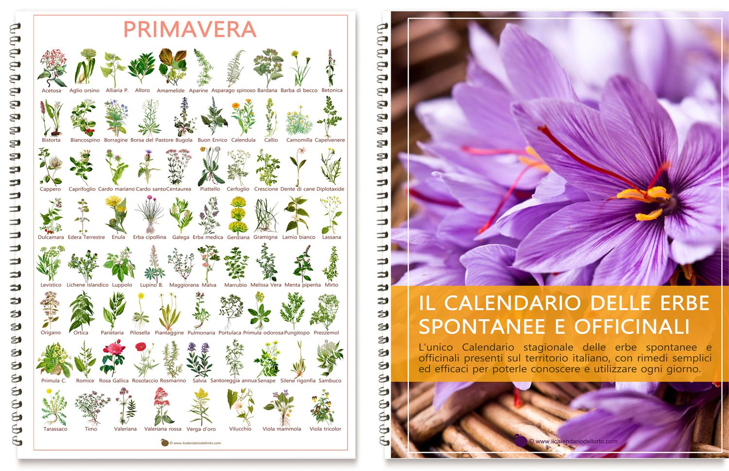 Calendario delle erbe officinali e spontanee
