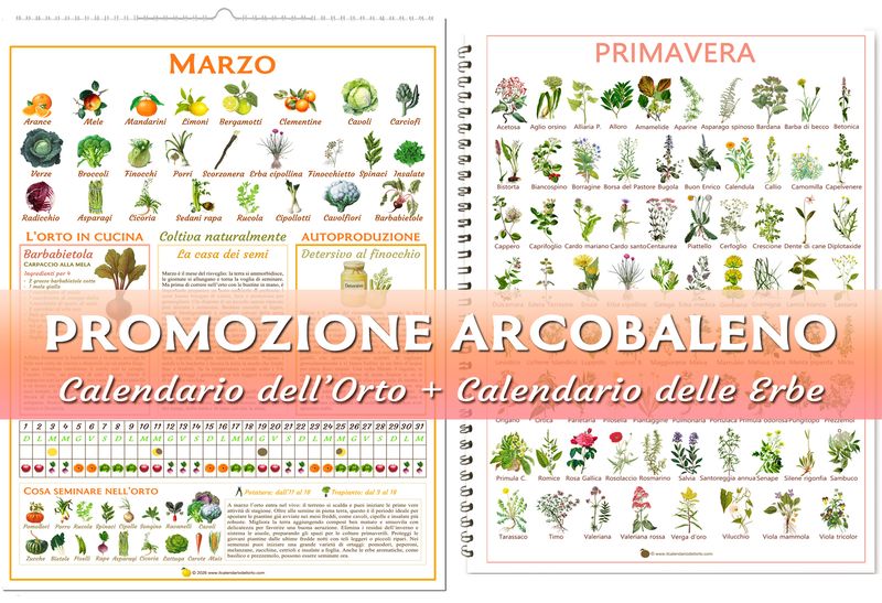 Promozione Arcobaleno