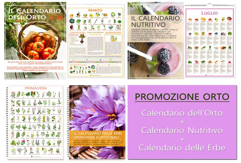 Promozione Orto