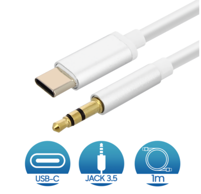 Câble Type C USB 3.1 Mâle vers Jack 3.5mm 1M