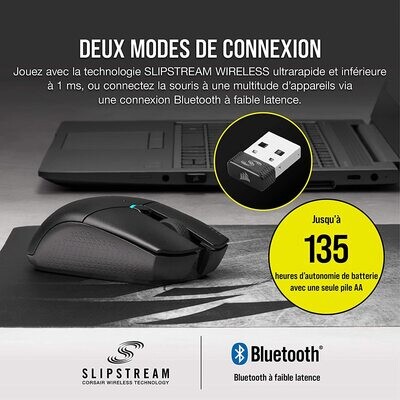 Souris Gaming Sans Fil - Bluetooth avec Récepteur USB - Noire