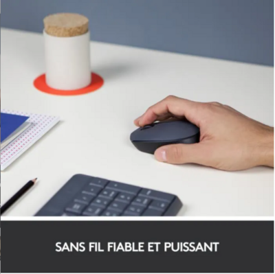 Logitech Souris Sans Fil M170 Grise