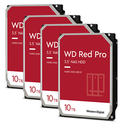 Western Digital Rouge Pro 10To 3.5&quot; NAS