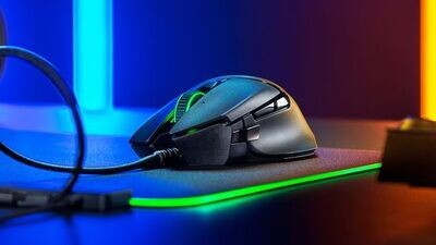 Souris