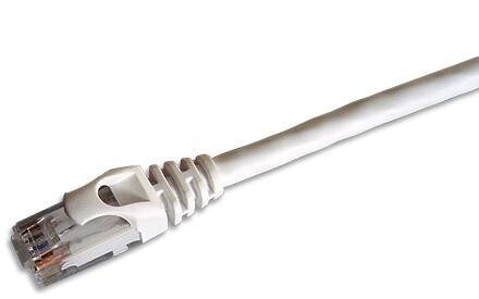 CABLE RESEAU RJ45 CAT-6 FTP Blindé droit 50M