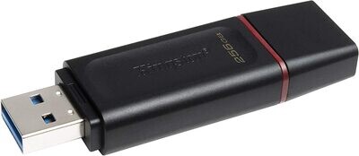 Clé USB Exodia DTX 256GB USB 3.2 pour Transfert Rapide