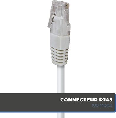 Câble TV Coaxial et RJ45 mâle à mâle 2 M - Blanc