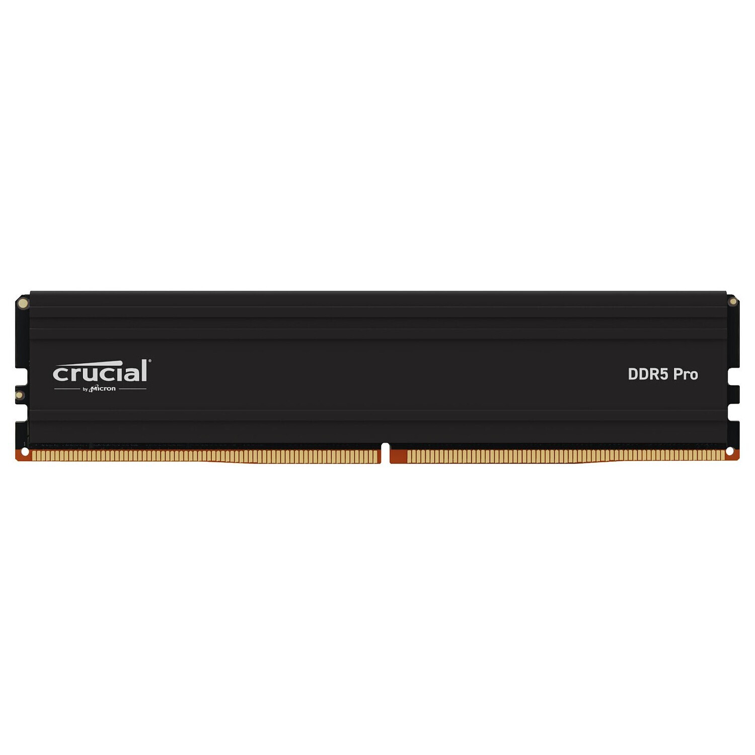 CRUCIAL PRO 24G (1X24G) DDR5-5600 *CP24G56C46U5