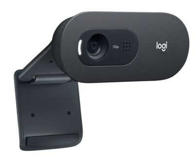 Logitech HD Webcam C505e Noir pour Appels Vidéo