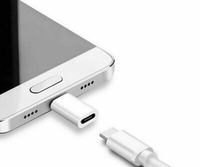 Adaptateur Micro USB Male Type C Femelle