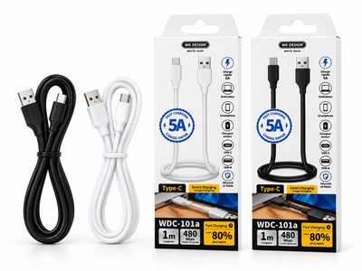 WK Design Câble USB-C Charge Rapide et Transfert de Données WDC-101a
