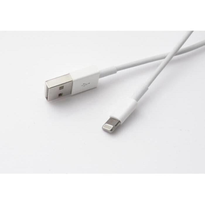 Câble  USB 2.0 Mâle vers Lightning Mâle (2 m)