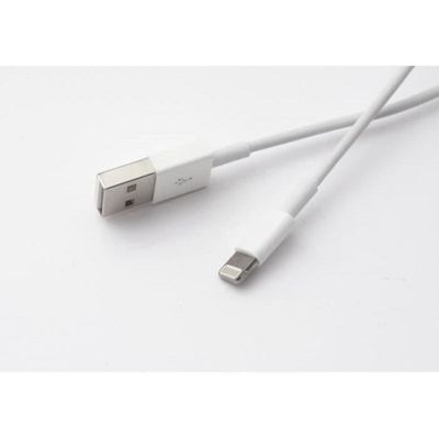 Câble  USB 2.0 Mâle vers Lightning Mâle (2 m)