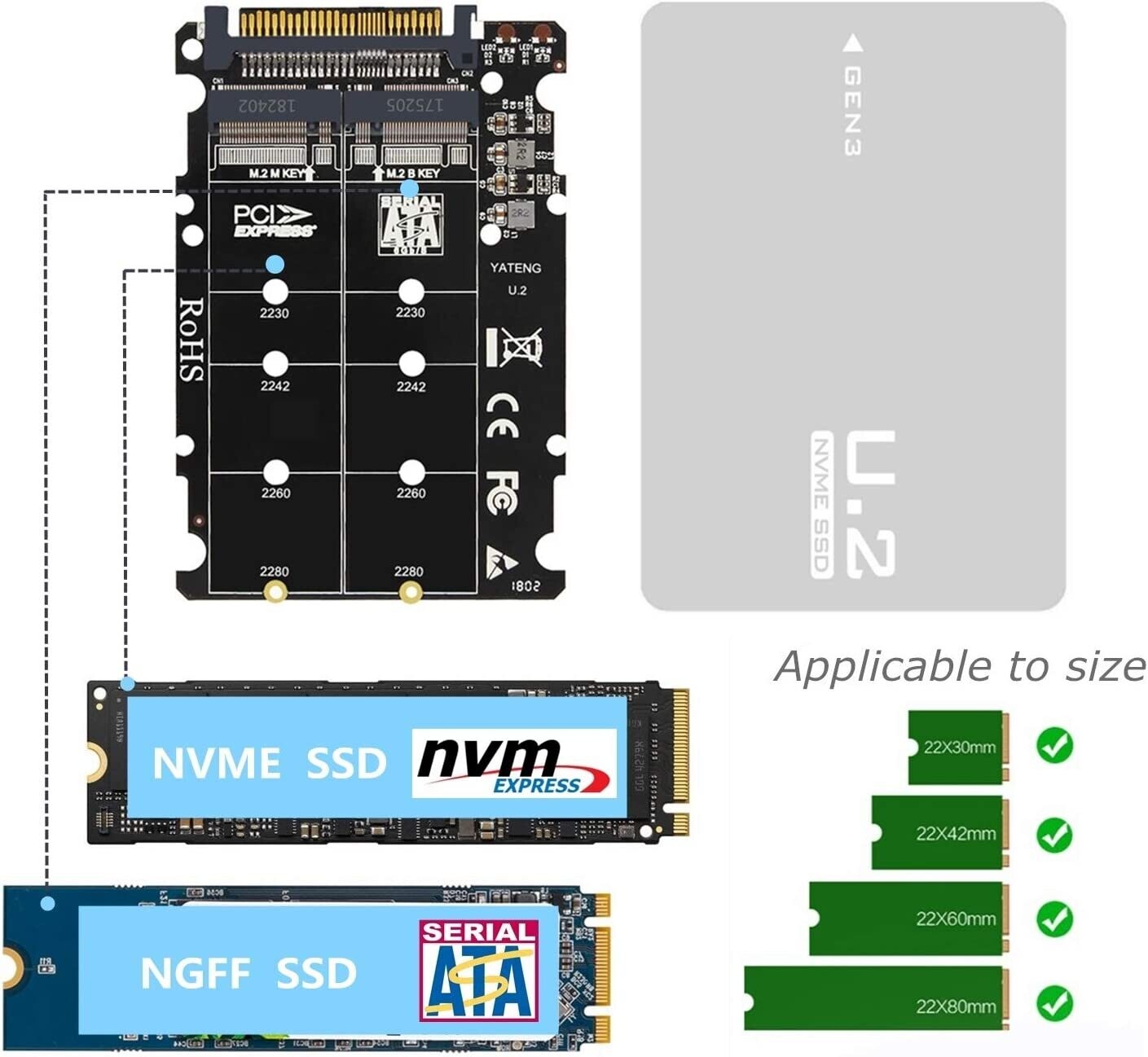 YATENG Adaptateur M.2 NVMe/NGFF vers U.2 (SAS)
