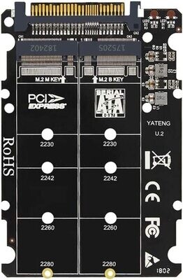 YATENG Adaptateur M.2 NVMe/NGFF vers U.2 (SAS)