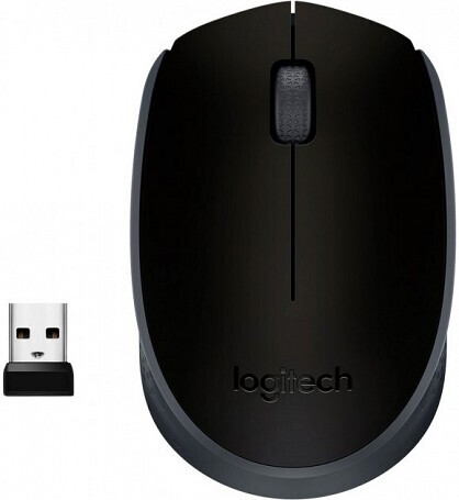 Logitech Souris Sans Fil  M170