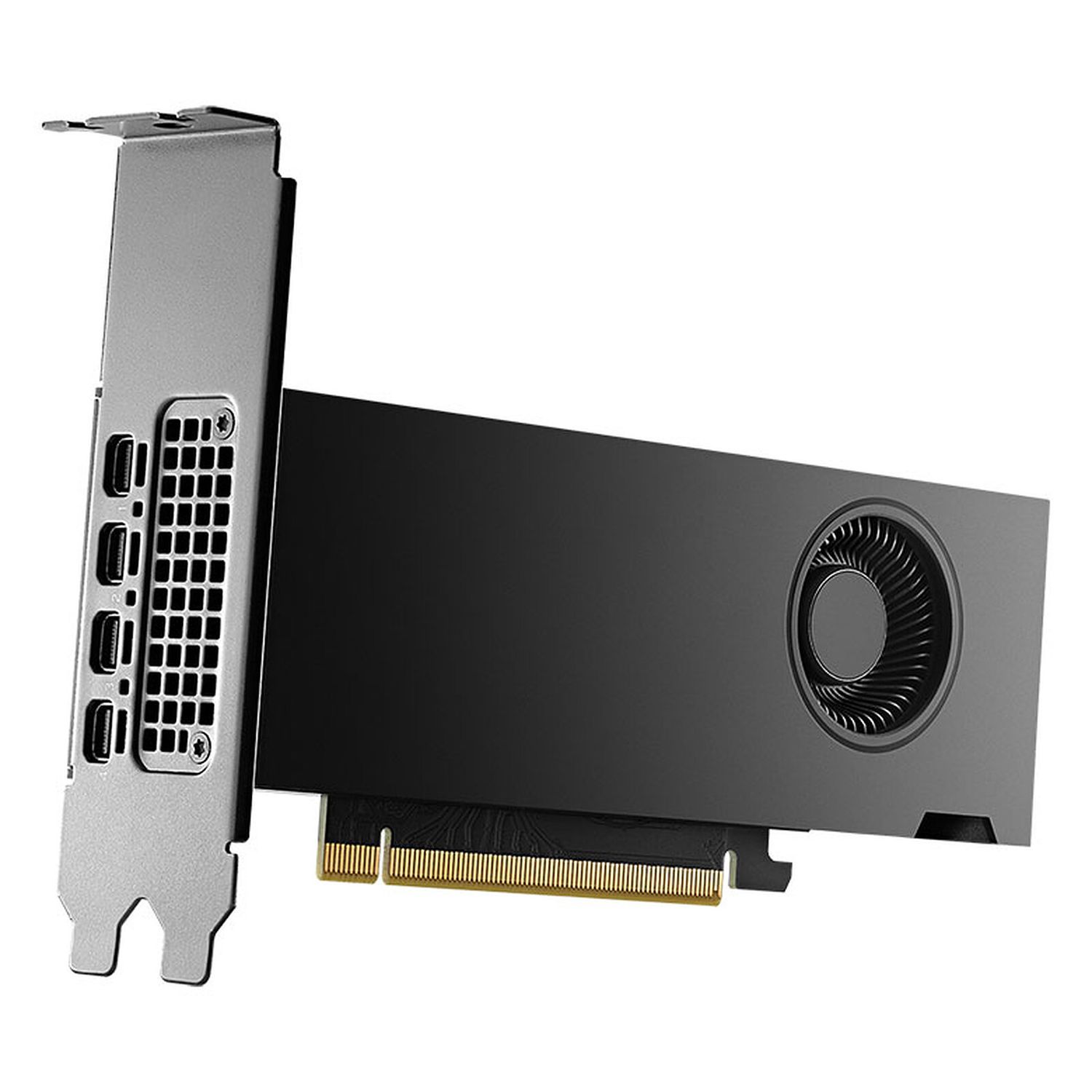 carte graphique - NVIDIA RTX 2000 Ada - 16 Go