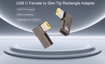 Adaptateur USB-C vers Slim Tip Métallique
