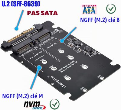 Adaptateur M.2 NVME PCIE SSD vers U.2 SFF - 8639 et NGFF SATA SSD vers SATA 2 en 1 PCBA Adaptateur combiné