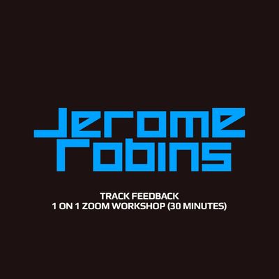 Track Feedback 1 on 1 Zoom Workshop (30 Minutes)