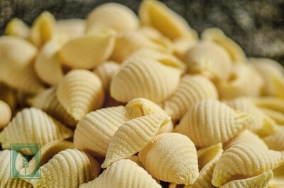 Shells