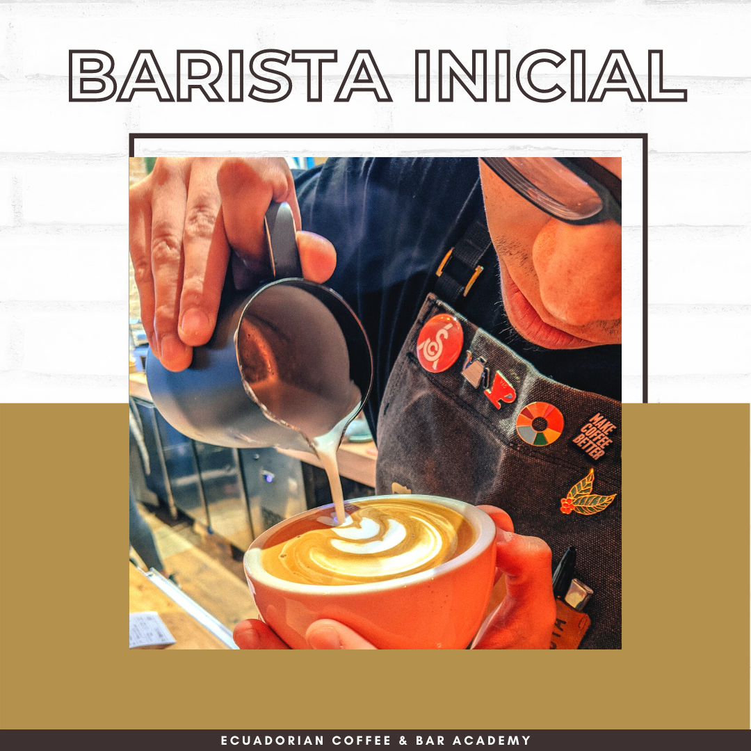 BARISTA INICIAL