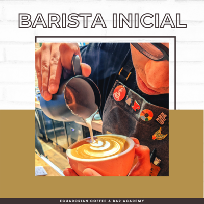 BARISTA INICIAL