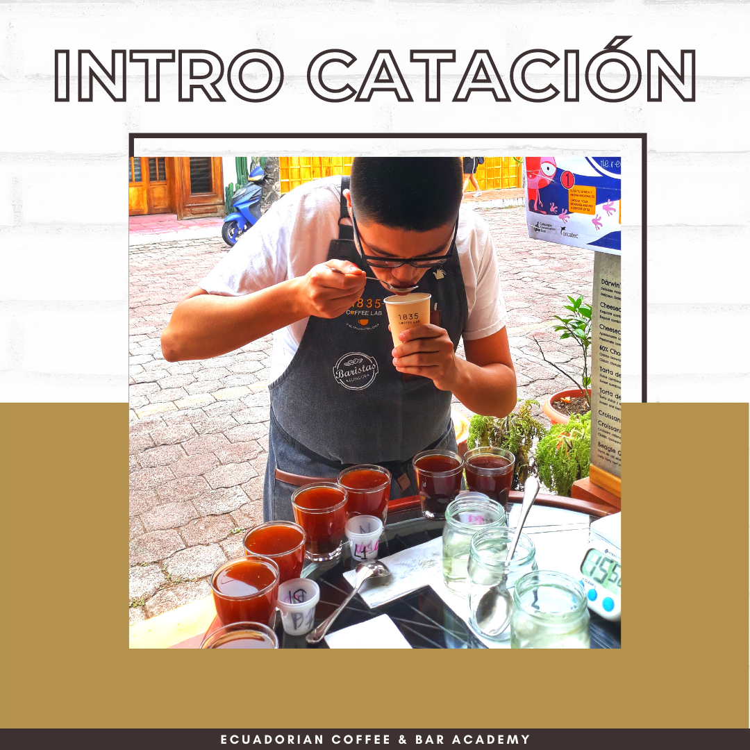 CURSO DE CATACIÓN