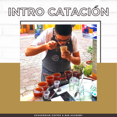 CURSO DE CATACIÓN