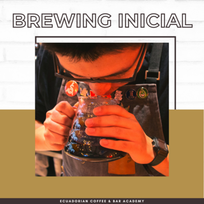 BREWING INICIAL