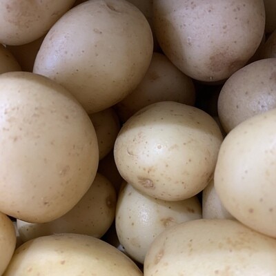 Baby Potatoes 500g