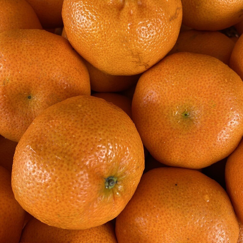 Clementine