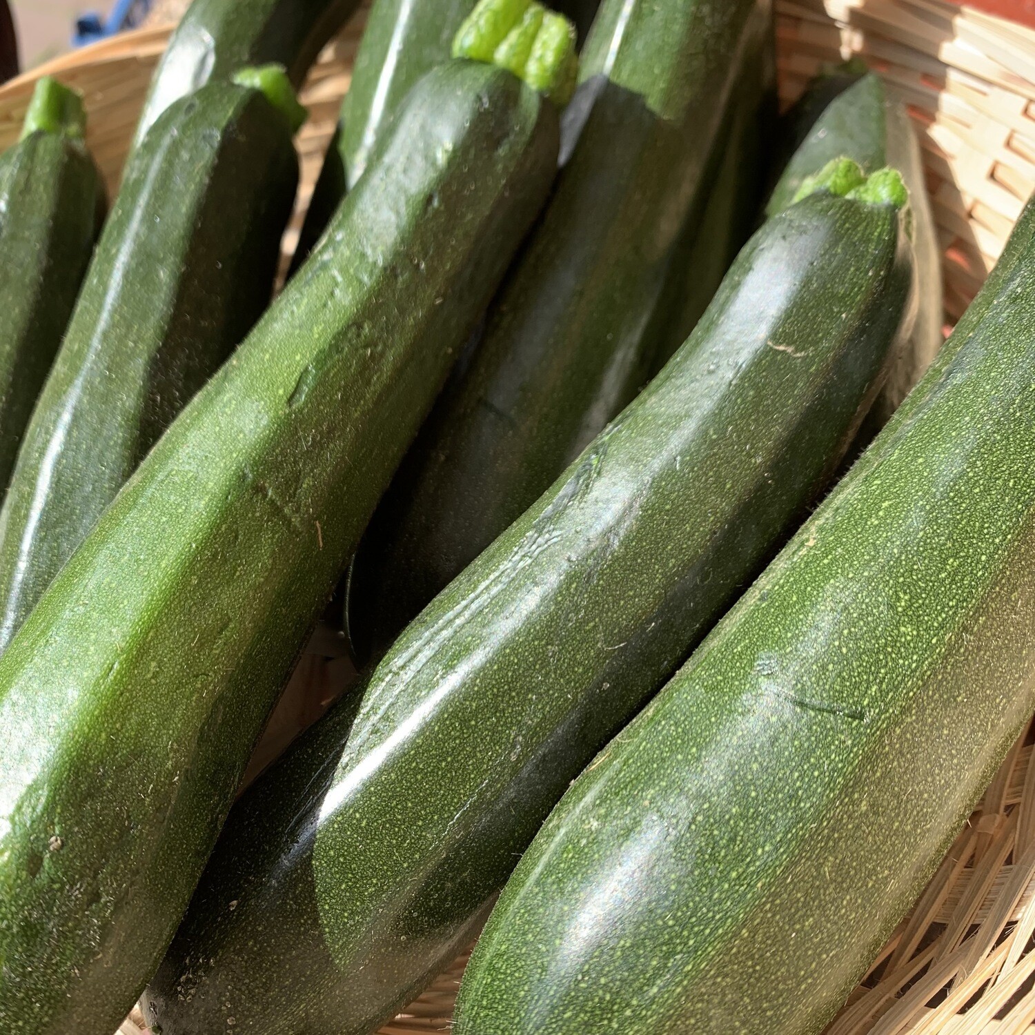 Courgette