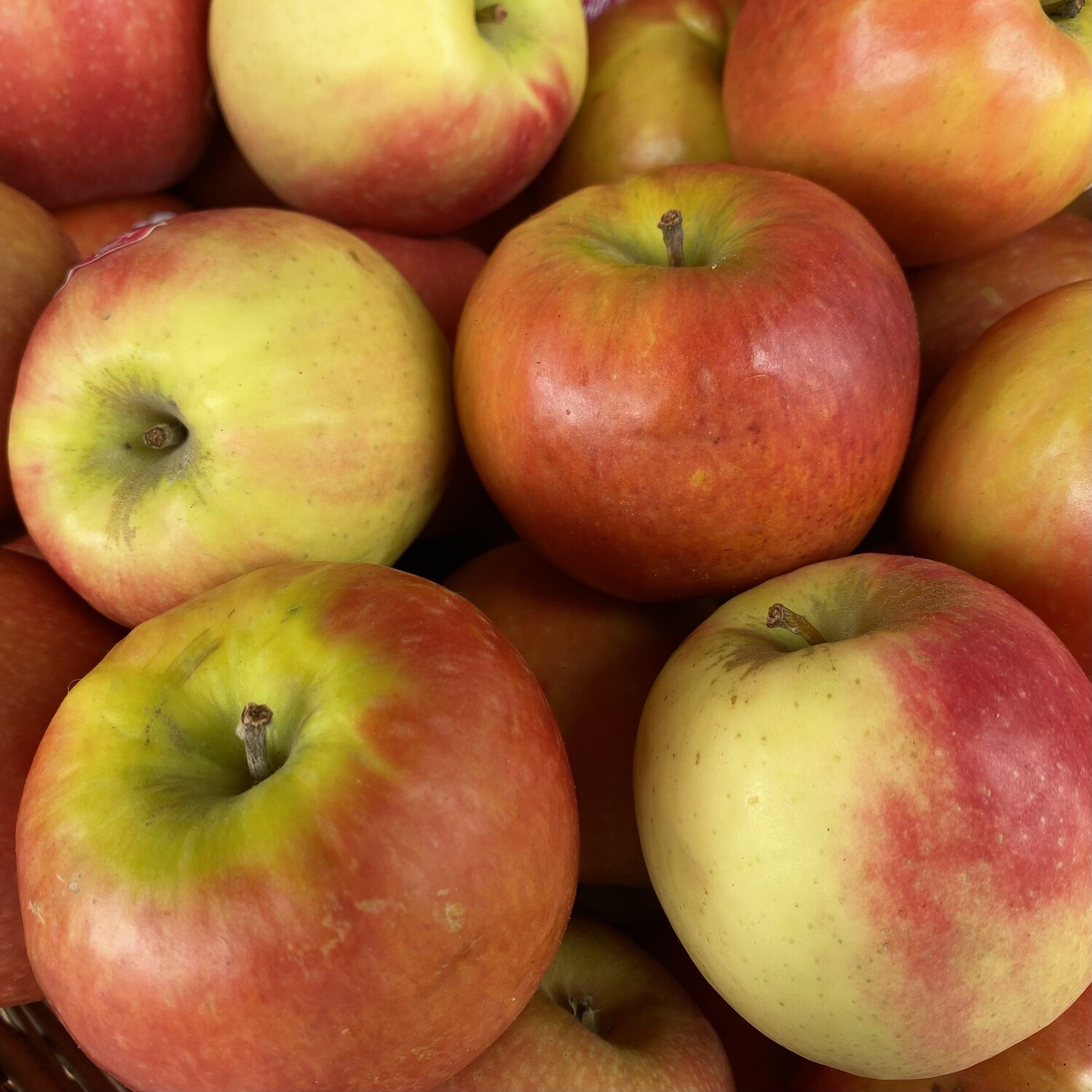 Pink Lady Apple